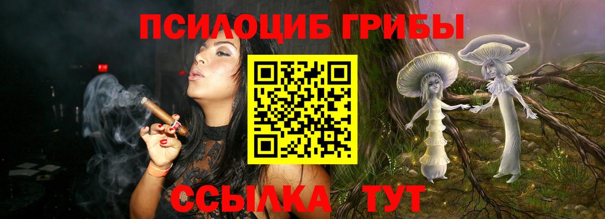 купить наркотики сайты  Псилоцибиновые грибы Magic Shrooms  Якутск  Вход с VPN  Псилоцибиновые грибы MAGIC MUSHROOMS 