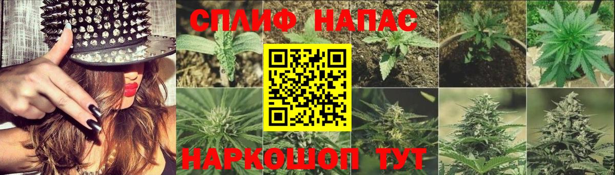 Каннабис MAZAR Якутск